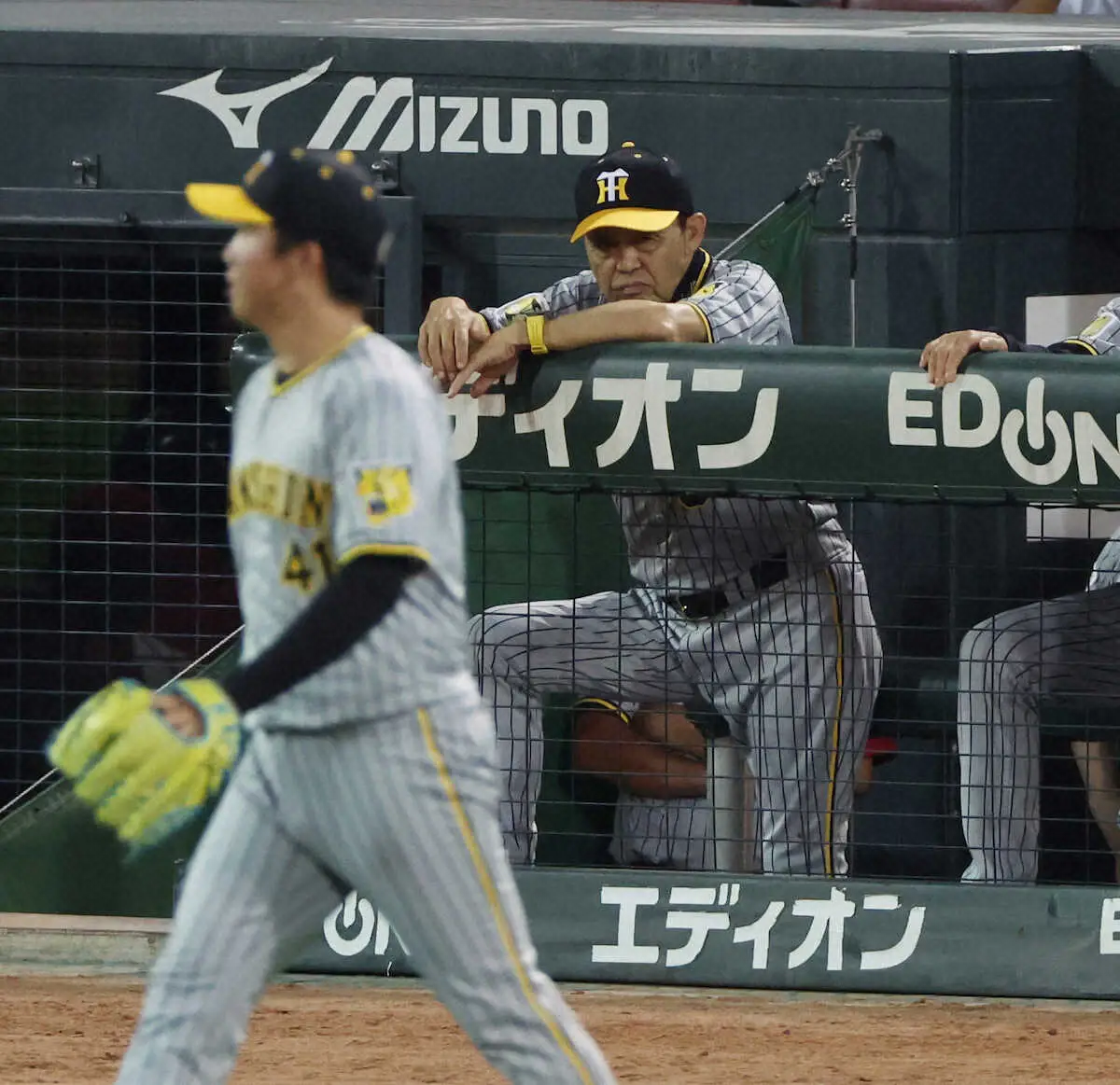 【画像・写真】阪神が広島に延長サヨナラ負け　首位巨人の優勝マジックは「1」