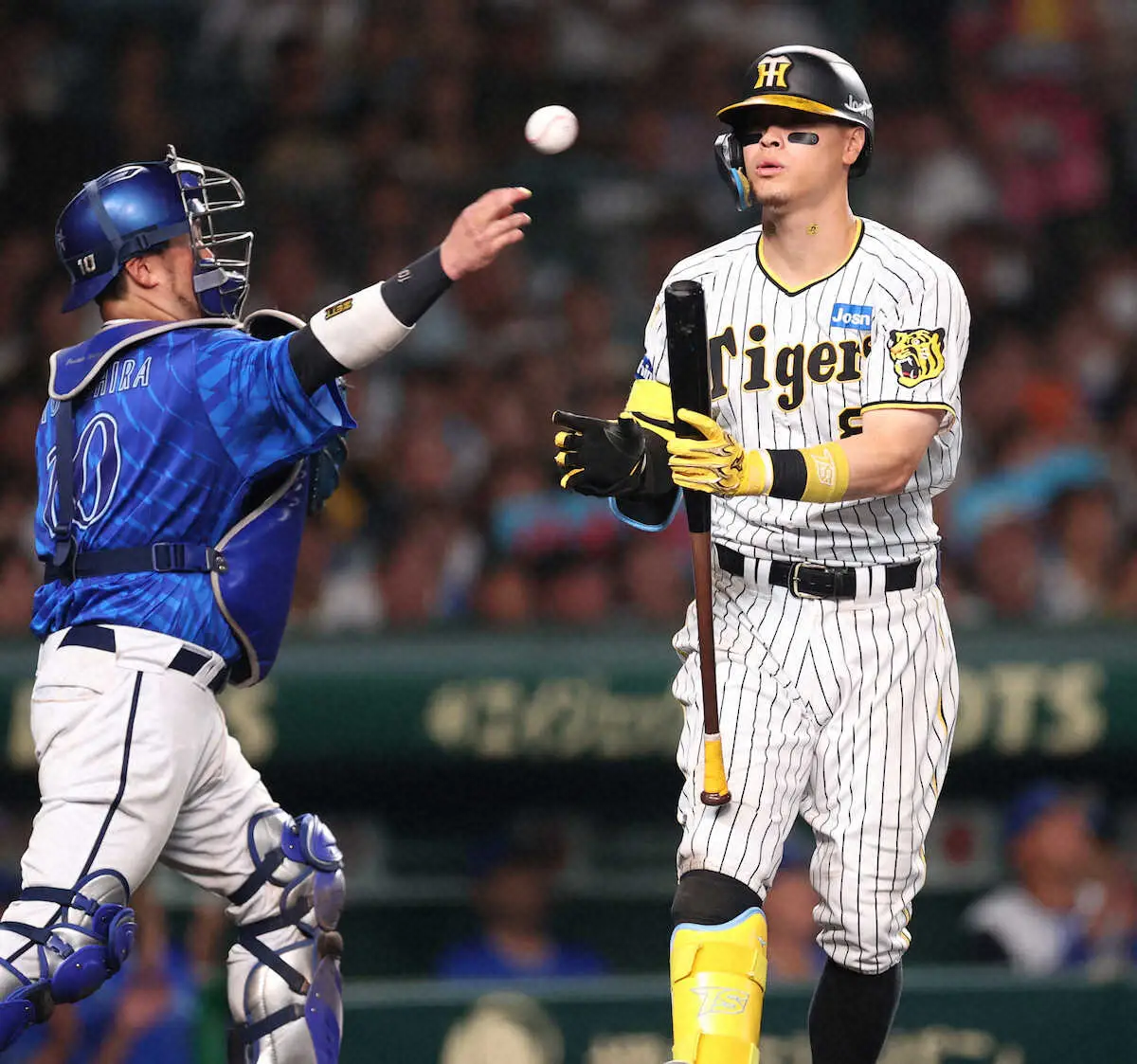 【画像・写真】阪神　甲子園最終戦で屈辱の零封負け　9回無死まで無安打　CSで対戦濃厚なDeNA4投手にひねられる