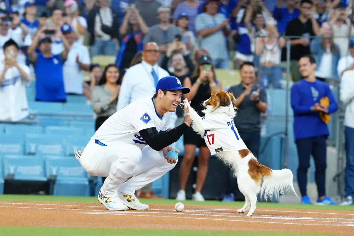 【画像・写真】大谷翔平は愛犬デコピンと球場入り　「準備万端」第2戦も「1番・DH」松井秀喜以来のPS2戦連発に期待