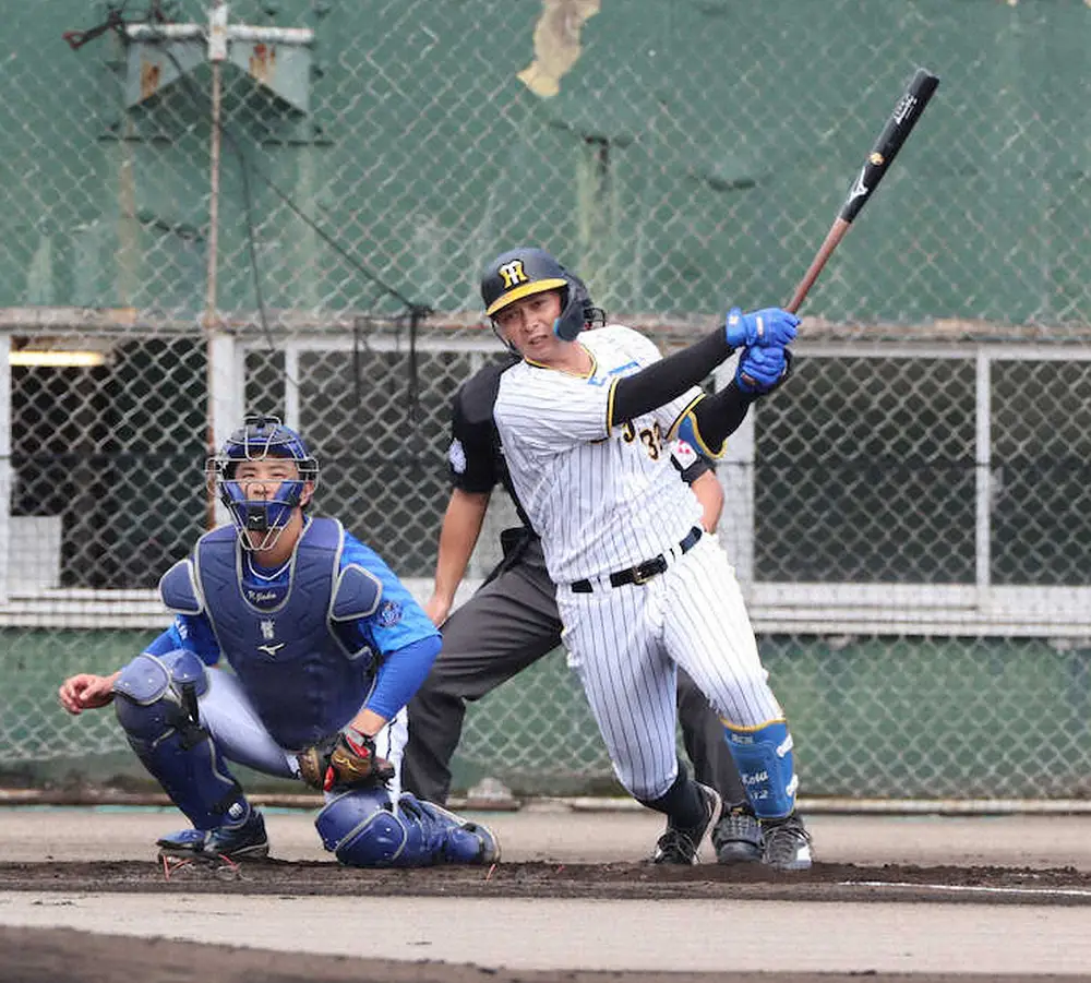 阪神・井上　レギュラー獲りへ猛アピールする適時打2本「無駄な動きをなくしたい」