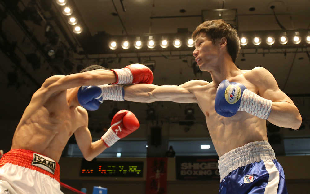 脳外科医ボクサー田中将大　衝撃２５秒殺デビュー！「狙ってました」