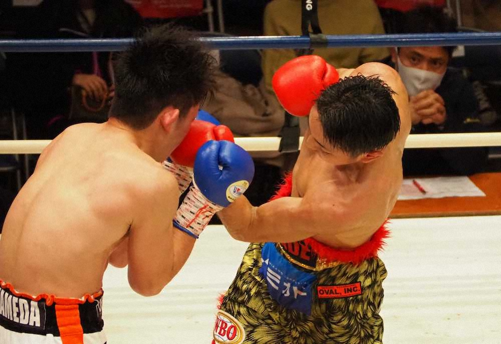 ＜WBOアジアパシフィック・フェザー級タイトルマッチ12回戦＞溜田に右アッパーを浴びせる森武蔵（右）。11回TKO勝ちで3度目の防衛に成功