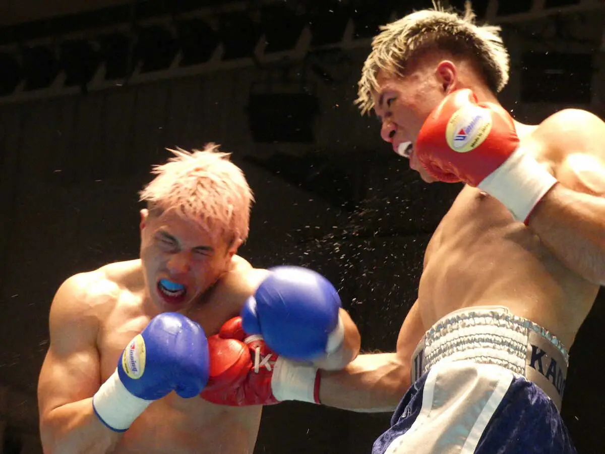 伊吹吾郎孫の遼平　0―2の僅差判定負けで初の決勝進出ならずも　「成長は見せられた」