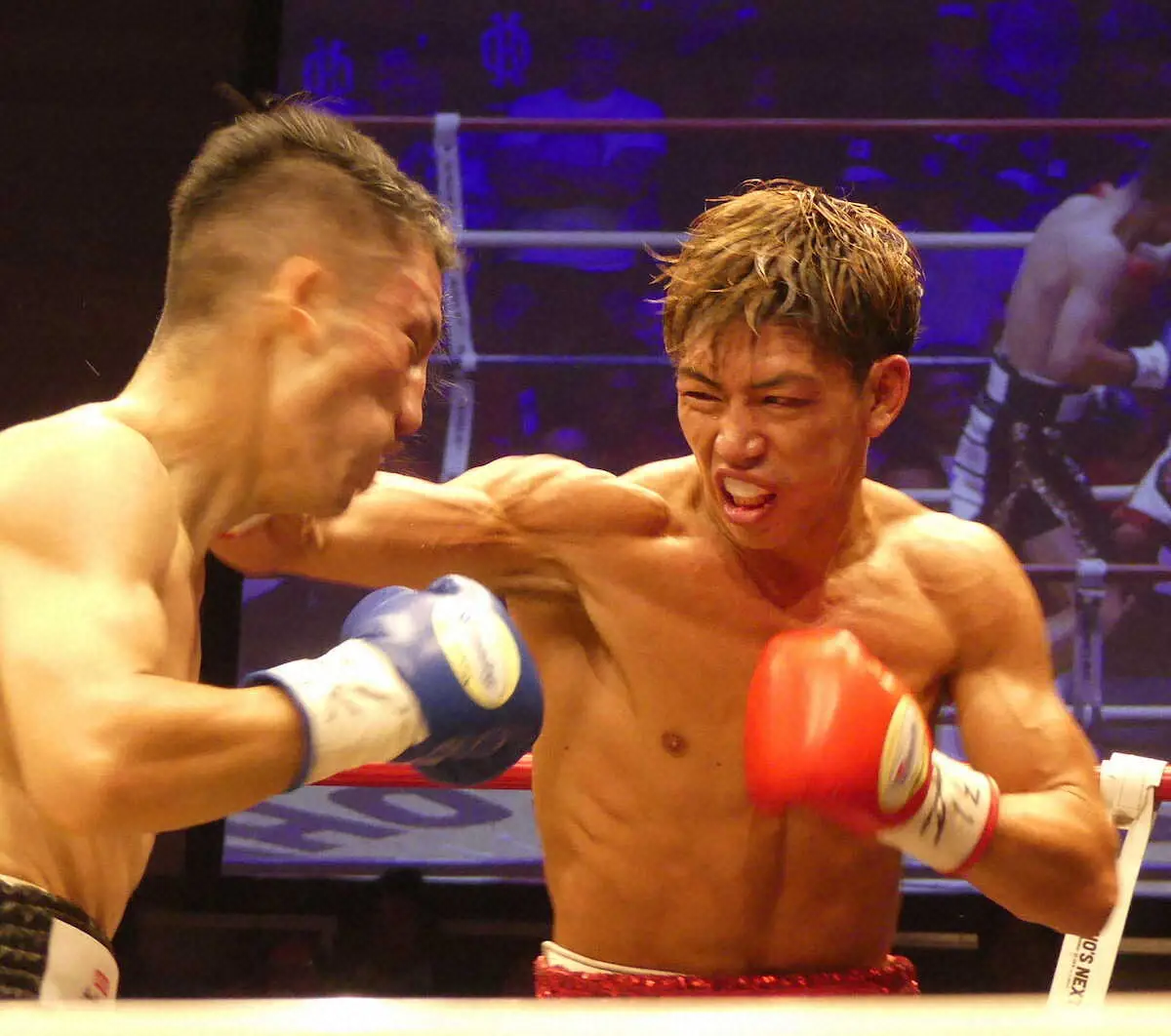 【画像・写真】村田昴　9回TKO勝ちでWBO－AP新王者　プロ初のダウン喫するも連続KO継続で無敗対決制す