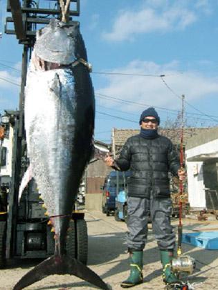 松方弘樹　３００キロ超の特大マグロ釣る