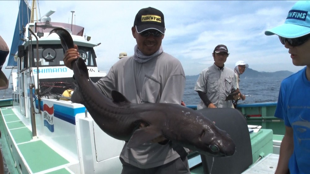 テレ東新企画「お魚ぜんぶ獲ってみた」　東京湾で激レア生物続々！“人喰いザメ”も