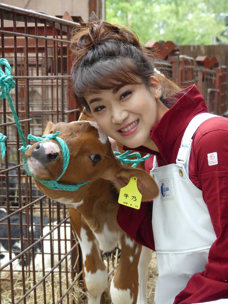 北海道別海町で赤毛と白毛の混じったホルスタインの子牛に「牛乃」と命名した市川由紀乃