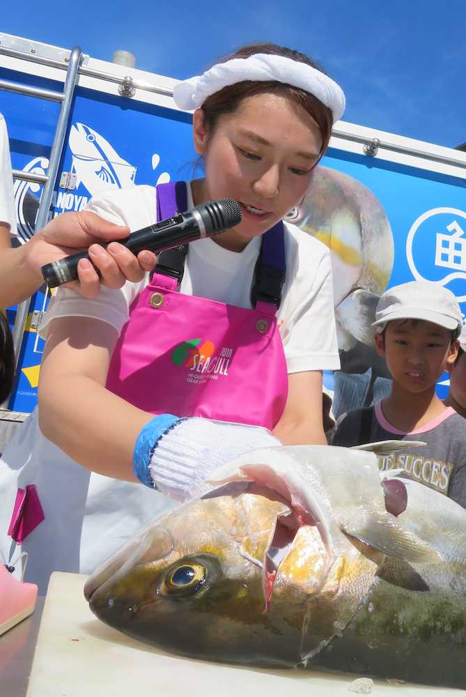 半田あかり　カンパチ解体ショー実演　お笑いと“二刀流”、目下恋人募集中