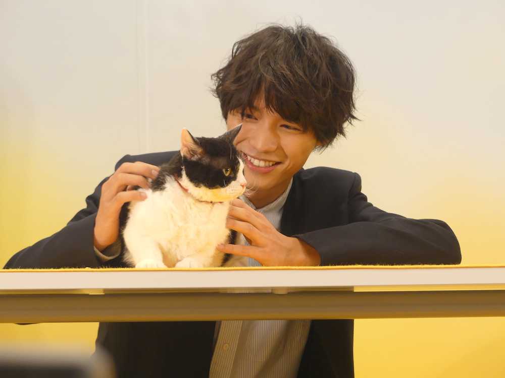 福士蒼汰　主演作共演の猫「ナナ」とイベント、心通わせ「僕にとって癒やし」