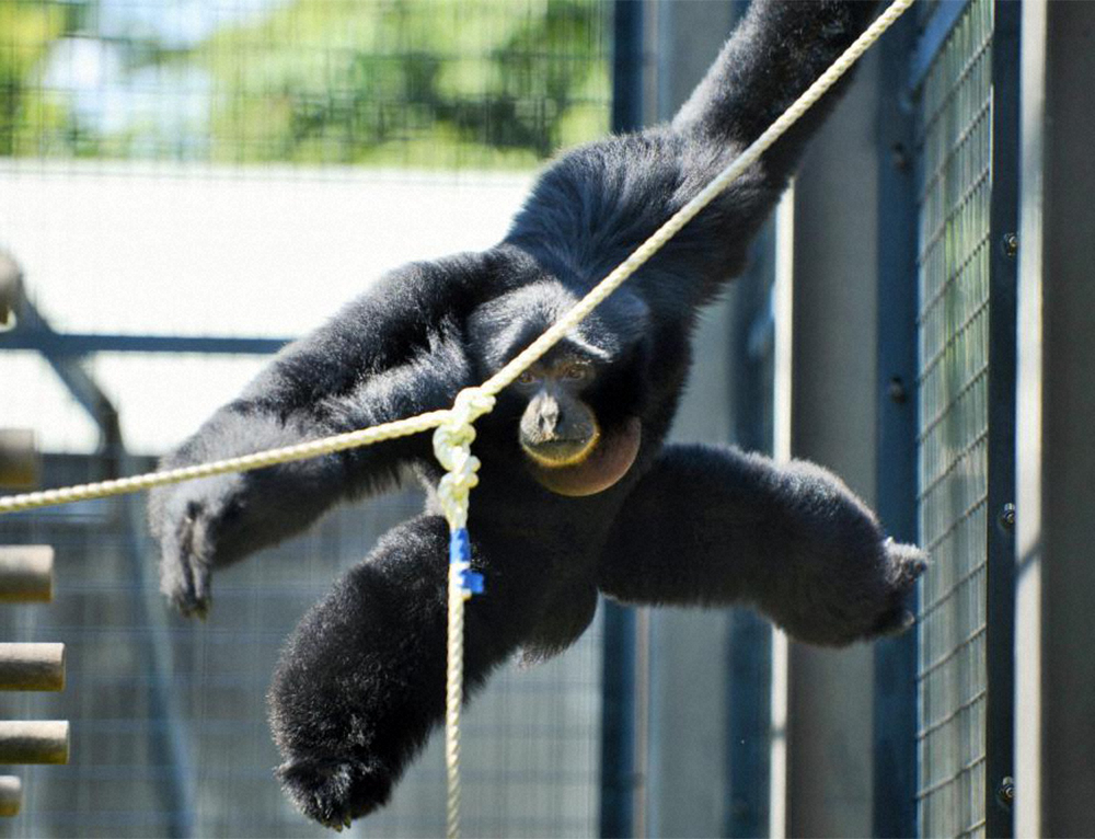 【画像・写真】坂上忍が選ぶ平成の「話題の動物」　CMスターや懐かしのブームも