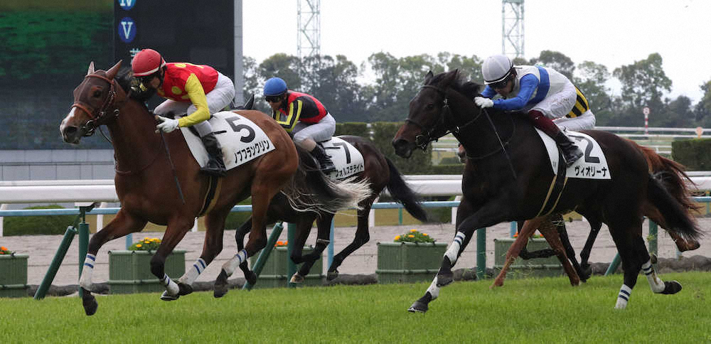 【画像・写真】TUBE前田　愛馬ノブフランクリンVでJRA6勝目