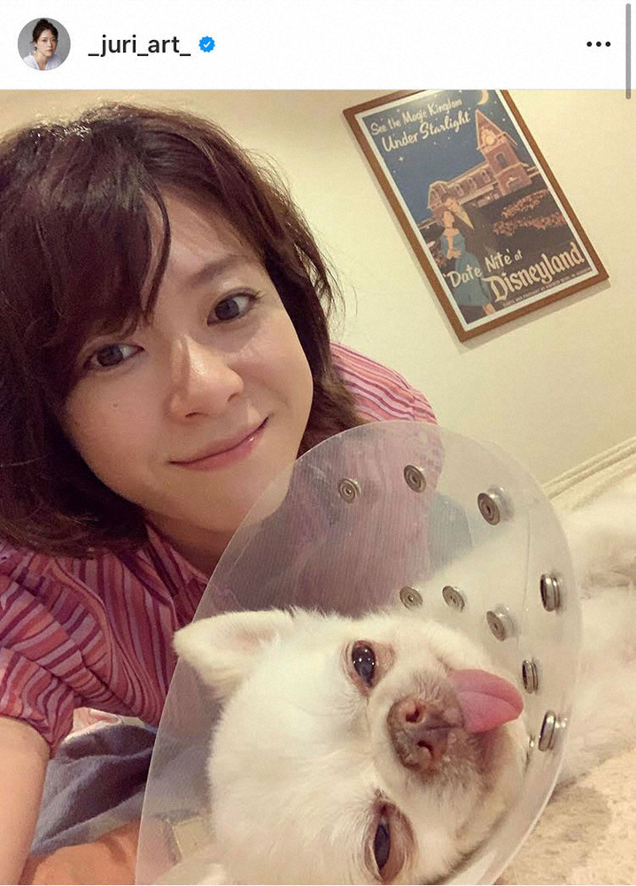 【画像・写真】上野樹里　愛犬無事退院「夫と共に最大限の愛情でケア」　“エリカラ”姿に「これまた愛しい」