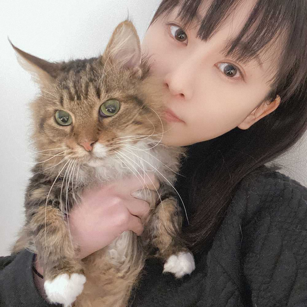 松井玲奈の愛猫のノヴァ