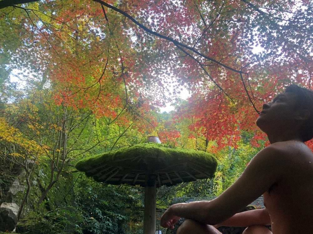 京で〝山の呼吸〟　身体温めながら森林浴