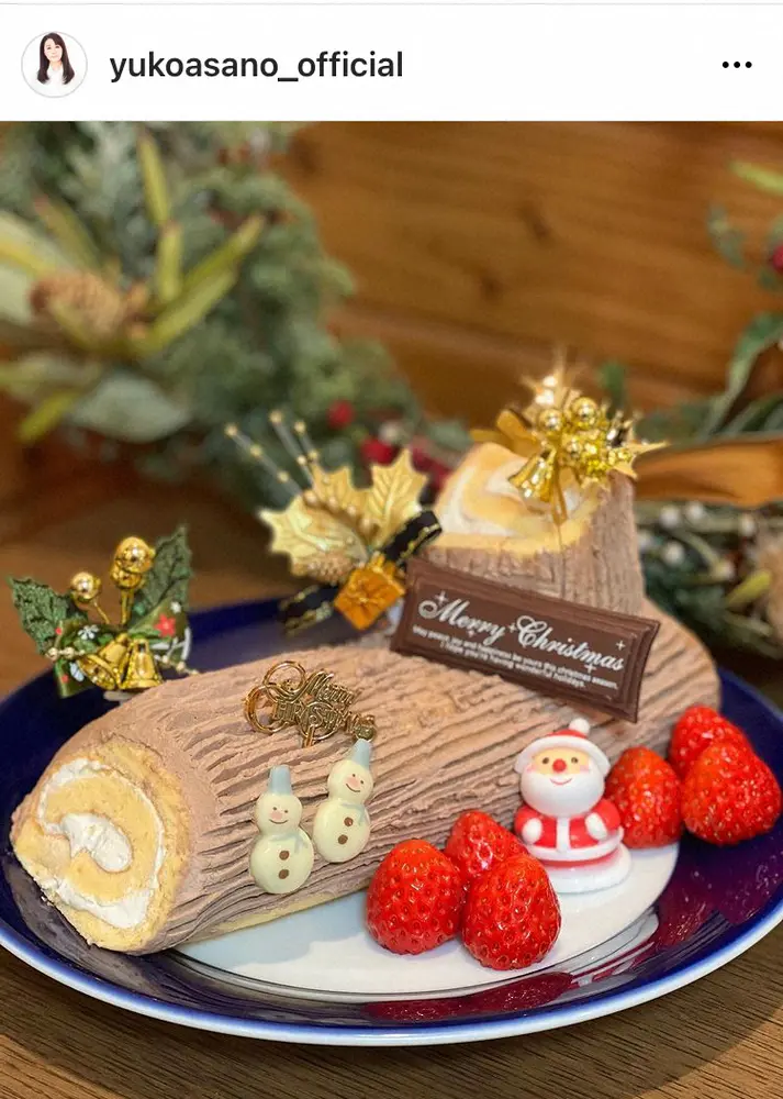 【画像・写真】浅野ゆう子　本格的すぎる手作りクリスマスケーキ披露にファン「店のみたい」「おいしそう」の声