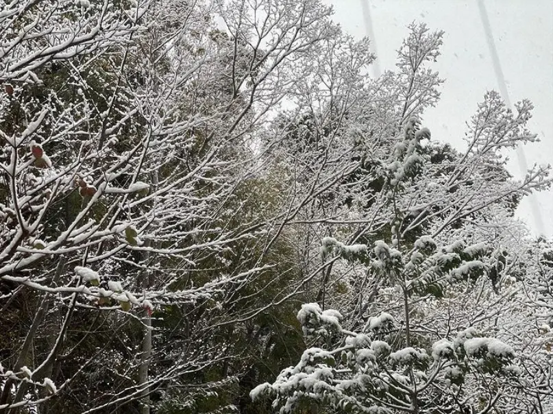 【画像・写真】辺見えみり　自宅からの雪景色公開に「素敵」「ヤバっ！」「きれーです」