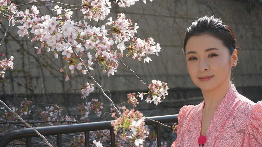 【画像・写真】檀れいが京都の桜の名所をぶらり「美しさをお伝えできれば」