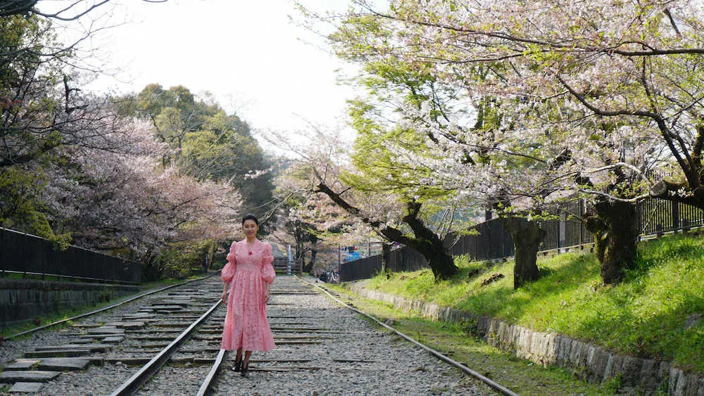 【画像・写真】檀れいが京都の桜の名所をぶらり「美しさをお伝えできれば」