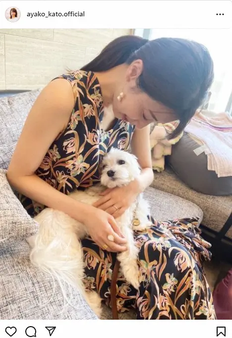 加藤綾子　夏らしいノースリワンピの私服ショット公開　犬とほっこり　「ステキ」「見惚れる」の声