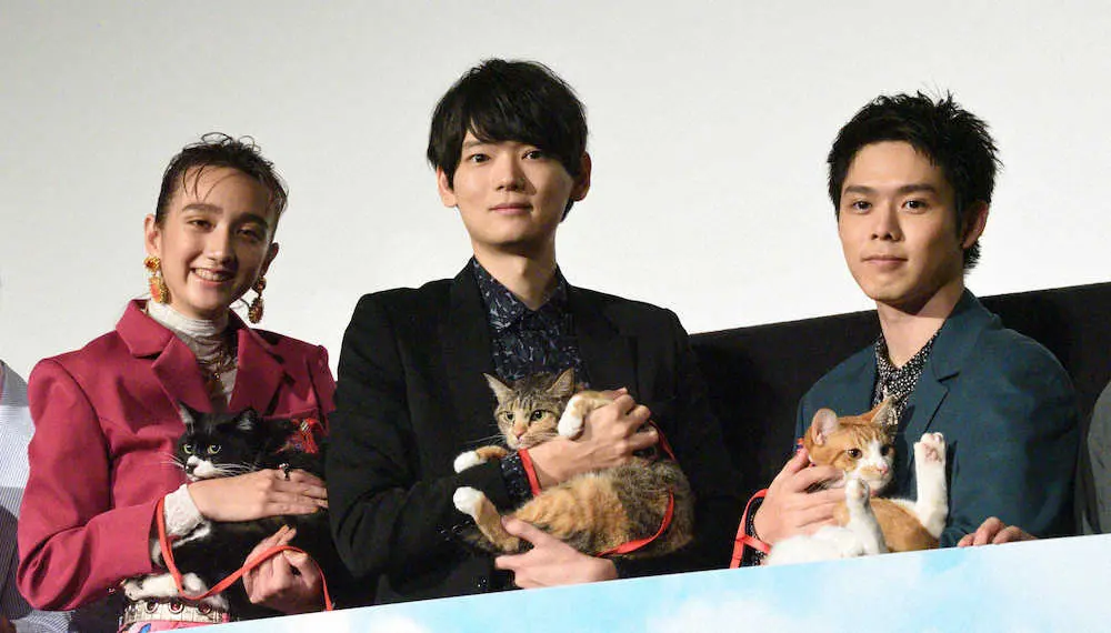 古川雄輝　「ねこ物件」は「究極の癒やし映画」　猫ファーストな撮影秘話明かす