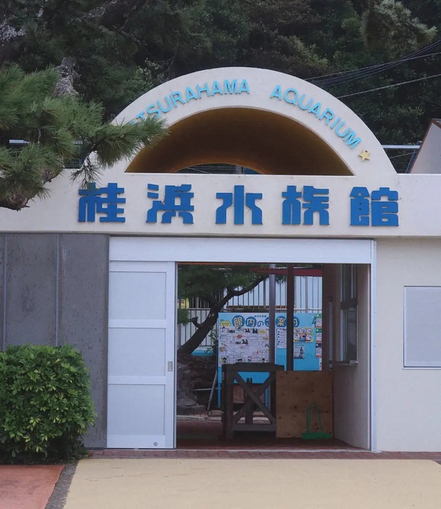 高知・桂浜水族館“殺ぼっくり”にご注意を　台風14号接近で注意喚起