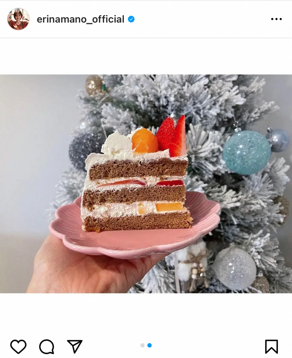 【画像・写真】真野恵里菜　手作りクリスマスケーキに反響　「岳さんがうらやましい」「お店に並んでるレベル」