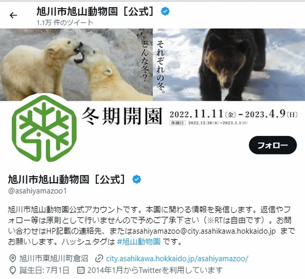 旭山動物園がほっこりツイート　丸くなった”北国育ち”のキタキツネに「揚げパンに見えました」