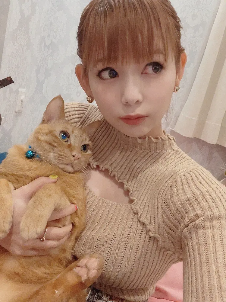 中川翔子と愛猫のメポ（ツイッターから）