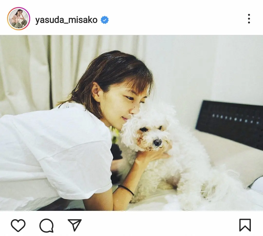 安田美沙子　16年共に過ごした愛犬が「お空に旅立ち」と報告「また、一緒に大好きなお散歩をしようね」