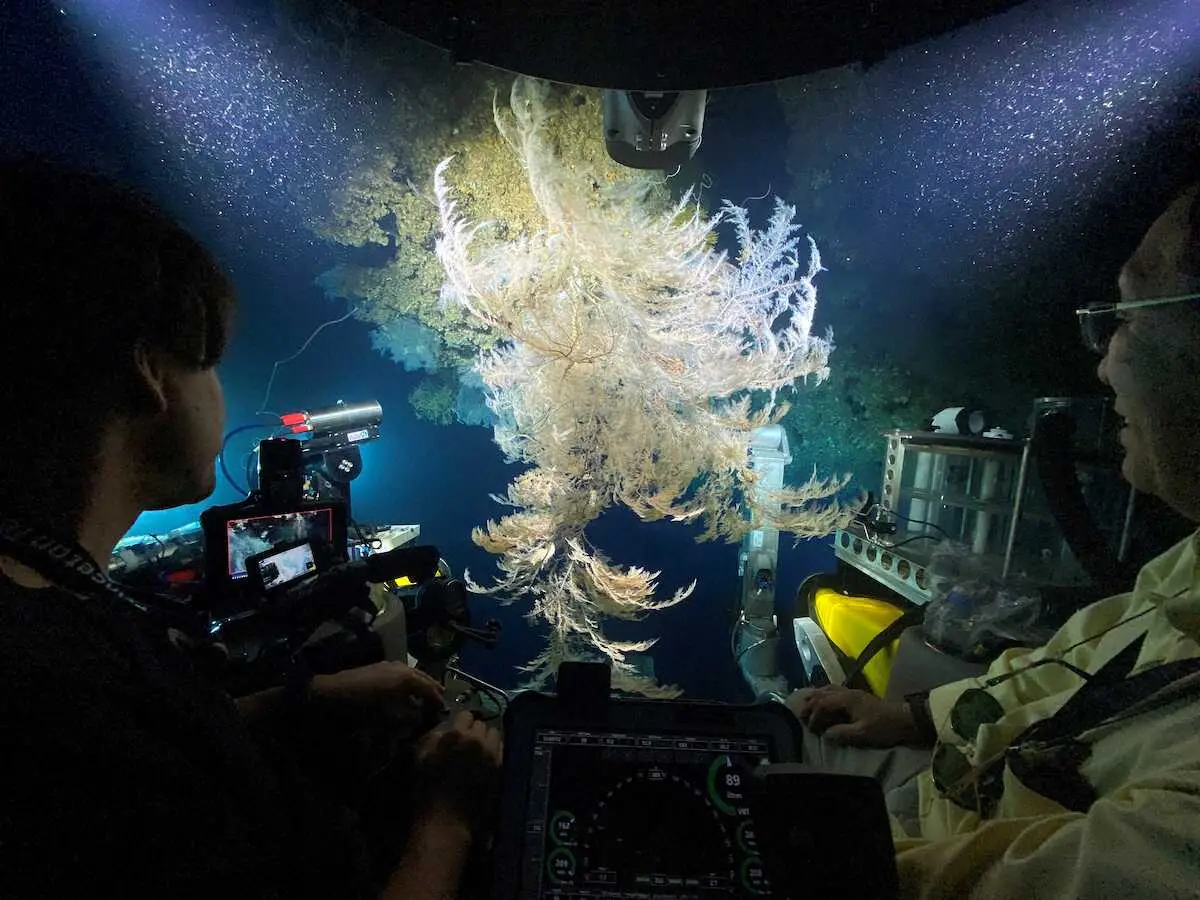 「NHKスペシャル　ディープオーシャン2」　「まるで宇宙」水深3000メートル紅海の探索