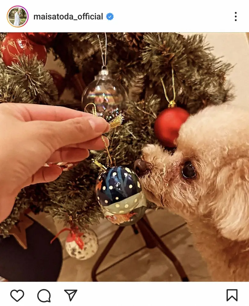 【画像・写真】里田まい　「クリスマスツリーを出しました」も4歳愛娘が「朝からメソメソフガフガ」のワケとは