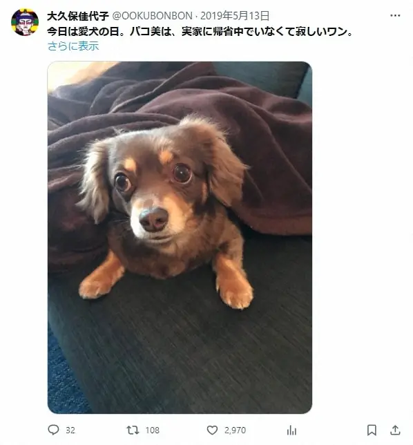 【画像・写真】大久保佳代子、溺愛する超かわいい犬「パコ美」披露　飼うきっかけとなった「運命的な出会い」とは？