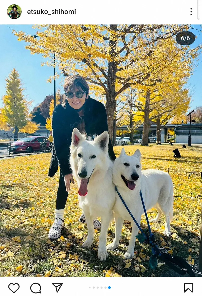 【画像・写真】志穂美悦子さん　愛犬との散歩披露　途中で会った「れっきとしたスター」の存在感に「半端ない」