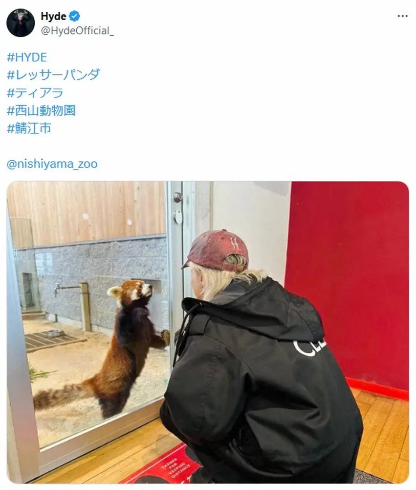 鯖江市西山動物園　「ぼくもにんじんたべます　はいど」福井に降臨した“神”の直筆色紙公開