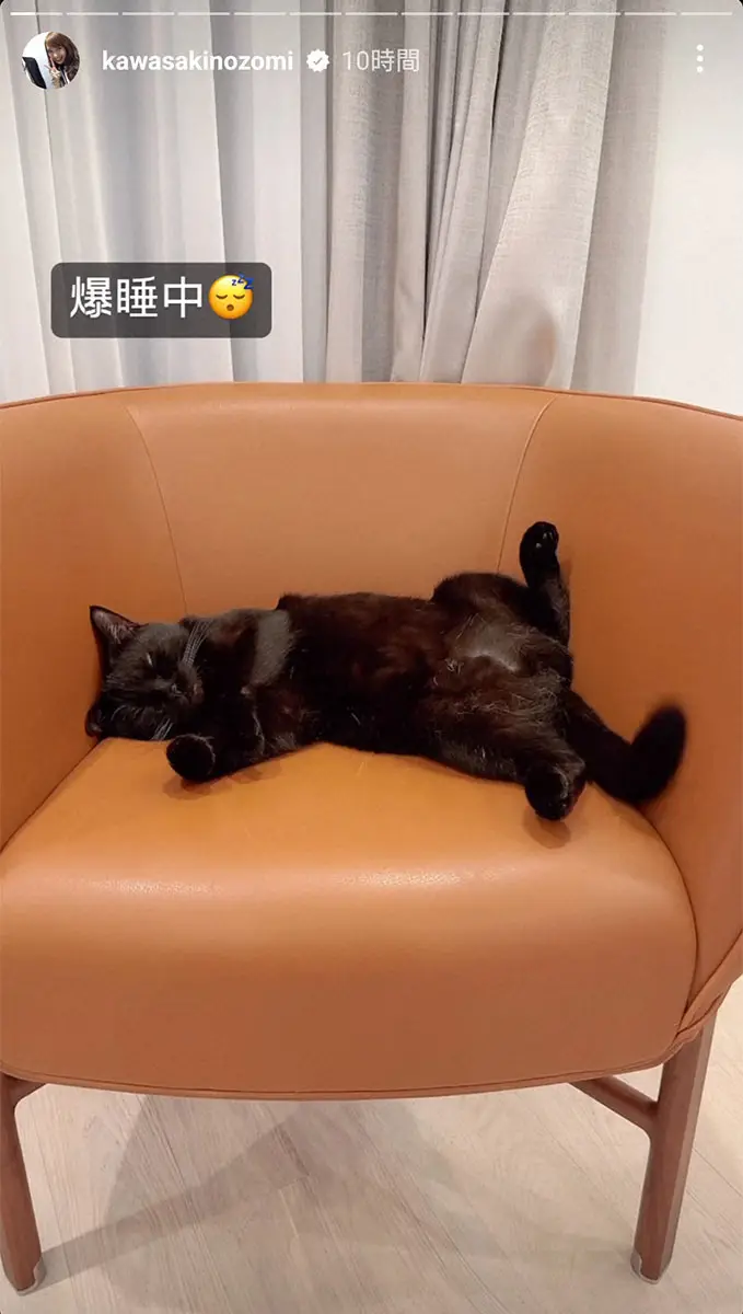 川崎希　お気に入りの椅子で爆睡中の愛猫の姿披露　ベッドには高級すぎ!?エルメスの160万円の椅子
