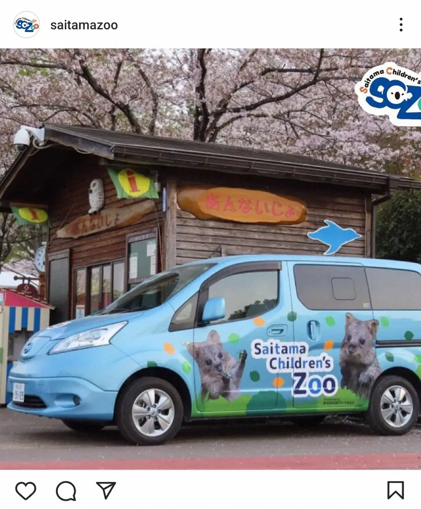 スマイルはどこへ…埼玉県こども動物自然公園の“世界一幸せな動物”クオッカのレアな姿に「誰これ？」