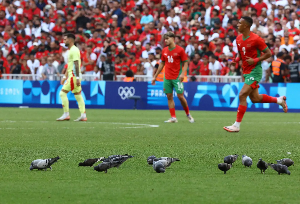 ＜パリ五輪男子サッカー　モロッコ・スペイン＞ピッチ上に群がる鳩（ロイター）