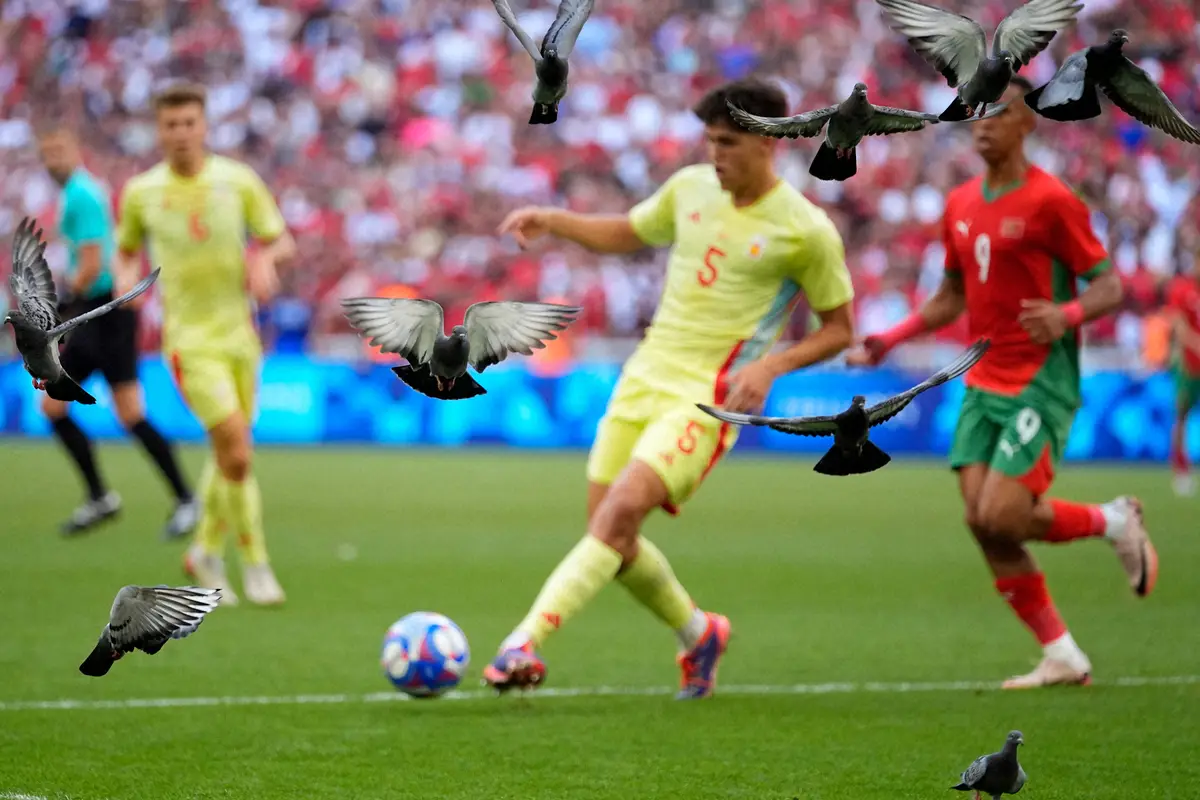 ＜パリ五輪男子サッカー　モロッコ・スペイン＞ピッチから飛び立つ鳩（AP）