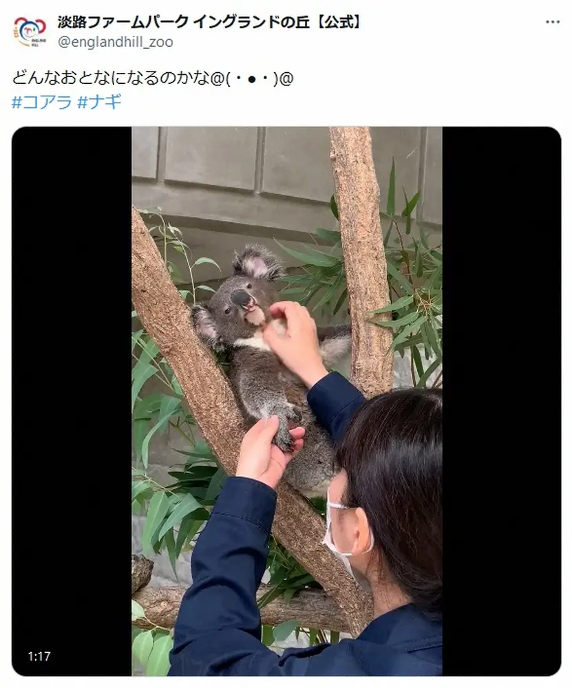 淡路ファームパークイングランドの丘（@englandhill_zoo）より