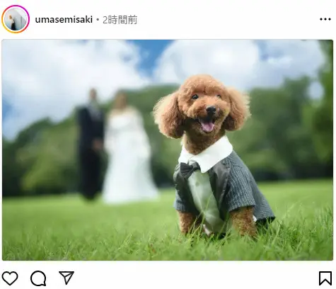 【画像・写真】プリキュア作曲家・馬瀬みさきが結婚　お相手はギタリスト　「心強いパートナーと共に温かい家庭を」