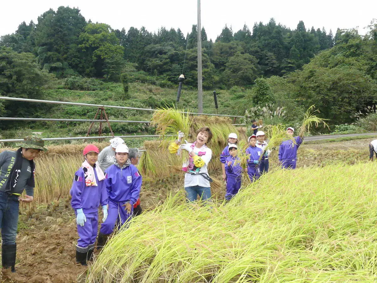 【画像・写真】小林幸子　今年も“幸子米”収穫　新潟県中越地震から20年「新しい山古志ができてよかった」