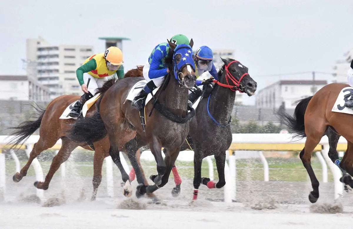 【画像・写真】ジャンポケ斉藤慎二の持ち馬「オマタセシマシタ」の馬主名義を変更　現役続行へ