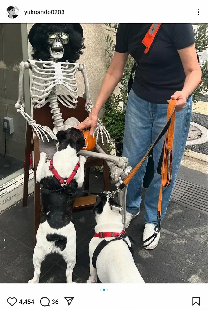 【画像・写真】安藤優子氏　“ワンチャン”テイクアウト用？ハロウィン飾りを狙う愛犬に「食べられないよ」「可愛すぎ」