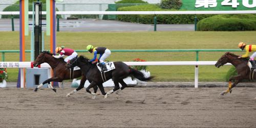 【京都新馬戦】ファンドレイザーで伊騎手アッゼニ初勝利