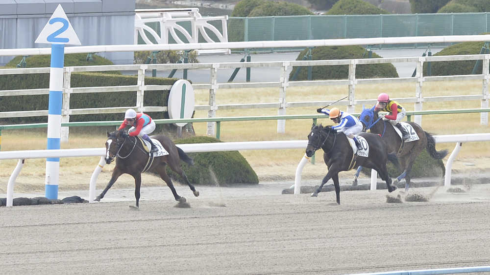 【京都新馬戦】テンモース楽々逃げ切り勝ち　武豊「スピードある」