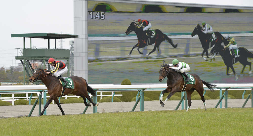 ＜阪神１１Ｒ・毎日杯＞直線粘り込んで勝利した松山騎乗のアルアイン（左）