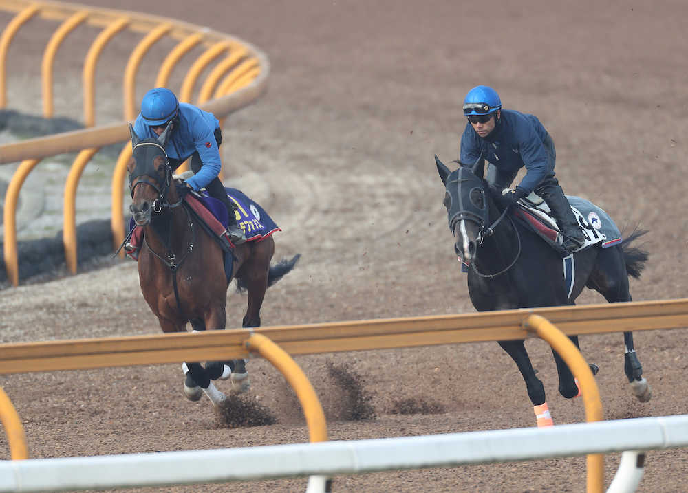 【大阪杯】円熟の６歳馬ステファノス、気負いなく３馬身先着