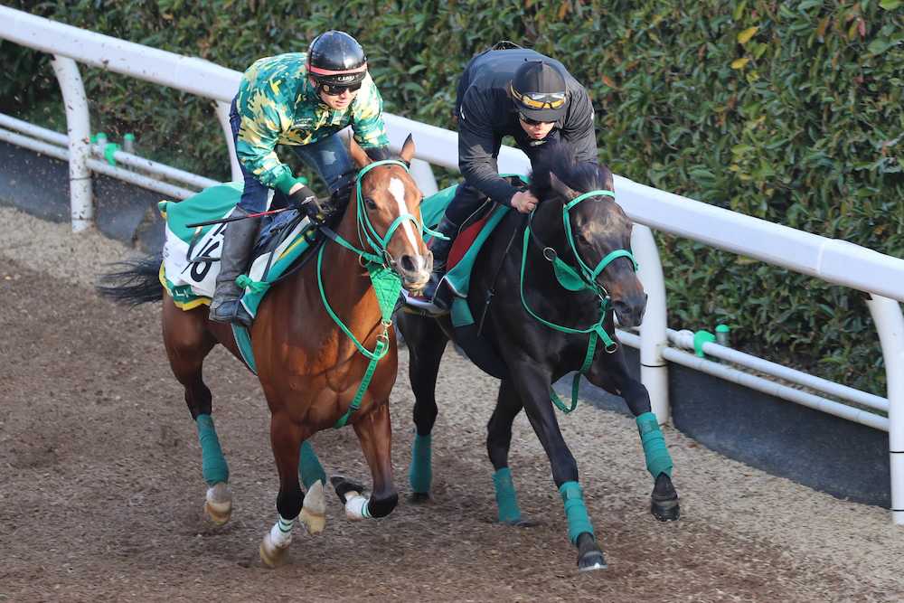 阪神牝馬ステークスに出走するデニムアンドルビー（左）と坂路で併せて追い切られたサロニカ