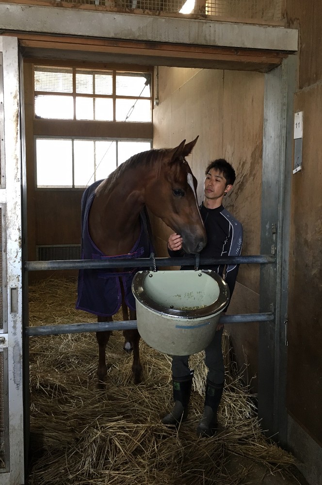 桜花賞を制したレーヌミノルは１０日朝、栗東トレセンの馬房で静養した