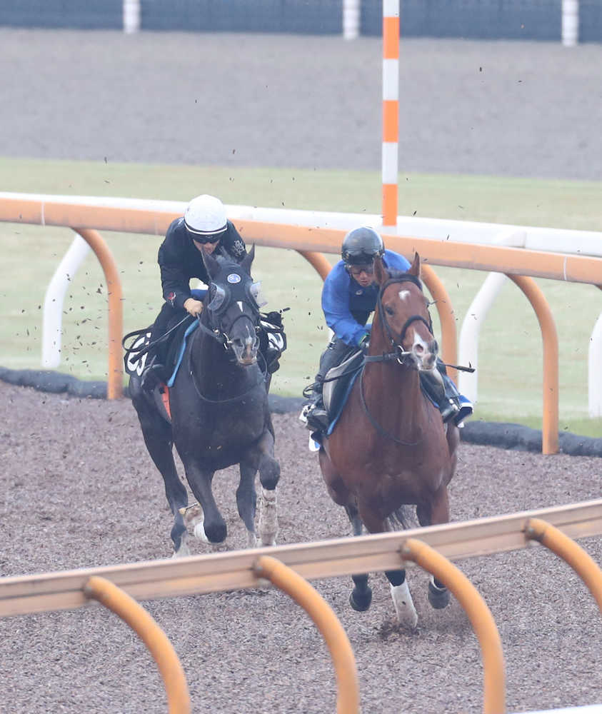 ＜日本ダービー２週前追い＞川田騎手を背にＣＷコースで後ろから追走するサトノアーサー（左）